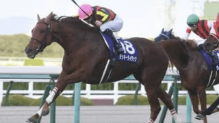 有馬記念で見逃せないステイゴールドの血。２頭に激走の予感