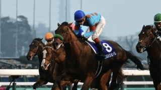 有馬記念はリピーター、３歳馬、人気落ちのＧＩ馬が夢馬券を運んでくる