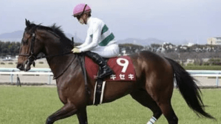 有馬記念はなぜ荒れるのか。その本質を見抜く穴党記者が推す４頭