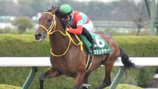 【佐賀記念枠順確定】クリンチャーは1枠1番、ロードゴラッソは7枠9番