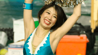 MIKU - SEA-Cheer (オービックシーガルズ) / CHEER #345