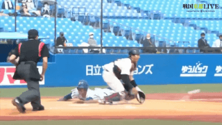 立正大学 vs 東洋大学（1回戦）東都大学野球（春季1部）【ハイライト】