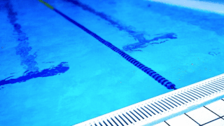 パラ競泳・一ノ瀬メイは「差別」の根源を探求。廃絶を願い発信力も強化