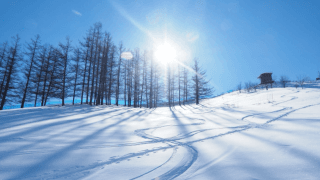 北京パラ出場へ期待の3人。パラアイスホッケーの新星が飛躍的に成長中