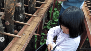 🍨松本薫、家族で🍄きのこ狩りへ「お子さん大きくなりましたね❤️」の声