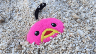 🌈丸山桂里奈、未確認動物に夢中⁉️「待ち受けにしよう❤️❤️❤️」