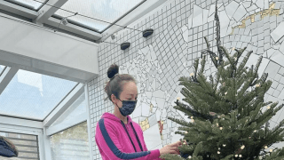 🎄ツリーに😳〇〇万円⁉️神田うの、豪邸🏰Xマスに驚愕の声「クリスマス🤶いくらかかるの⁉️」「セレブ感やば😨」