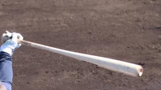 導入からほぼ半世紀、「指名打者制」を取り入れるリーグ、取り入れないリーグ