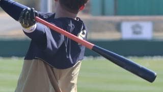 「打率」「打点」から「OPS」へ、価値観が変動しつつある野球記録