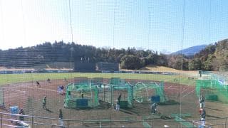 宮崎県のプロ野球春季キャンプ事情