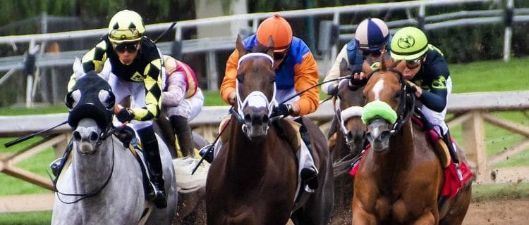 女性騎手G1初騎乗の藤田菜七子、フェブラリーSは５着健闘