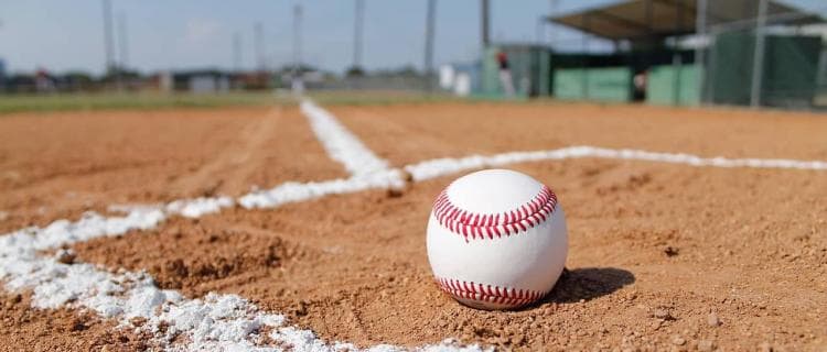 選抜８強の筑陽学園らシード校登場　高校野球福岡大会