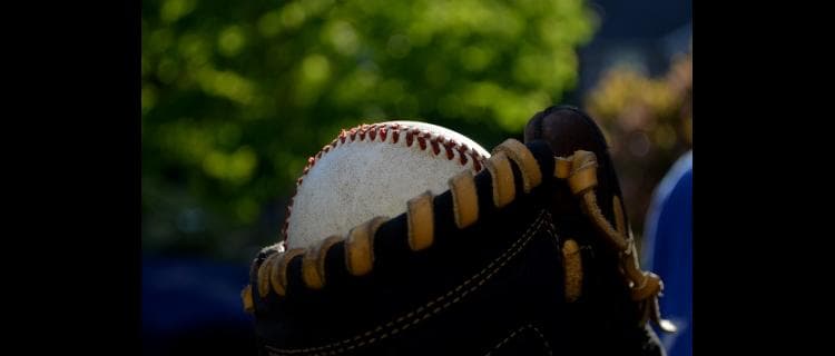 いよいよベスト４出揃う　高校野球秋田大会