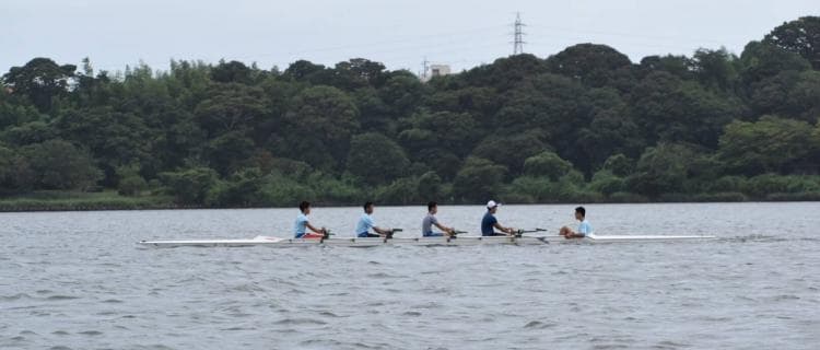 ボート 競技ガイド