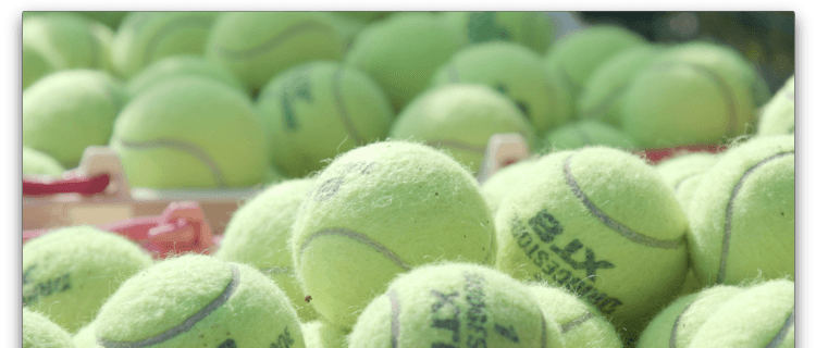 カレッジ界のテニスNo.1は？ 過去には有名選手も出場した全日本学生テニス選手権