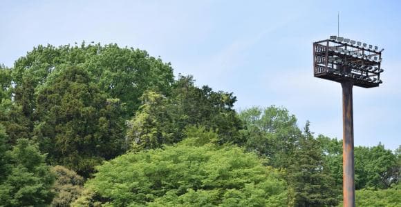 首都大学野球秋季リーグ戦、開幕間近！　各チームの特徴は？②＜東海大学・日本体育大学＞