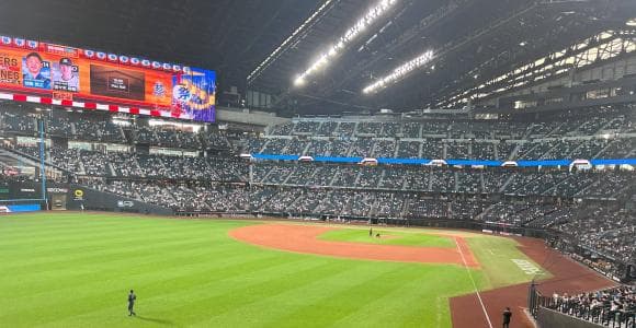 日本の野球場の現状はどうなっているか？