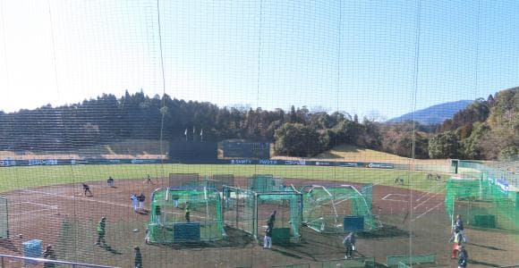 宮崎県のプロ野球春季キャンプ事情