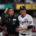 阪神・藤川監督　森下「井端監督もああいう場面での思い切ったスイングを仕掛けてくる姿を求めているでしょう」【一問一答】