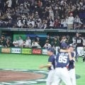 【WBC】残りアウト２つで悪夢…オーストラリア、痛恨失策　８回に適時打のバザナはベンチで涙