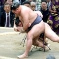 豊昇龍が初日から３連勝　先場所敗れた義ノ富士に勝利　横綱初Ｖに好スタート