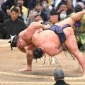 関脇霧島が1敗死守 横綱豊昇龍を撃破