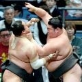 大花竜、来場所の新十両昇進が確実に　師匠の檄で６勝目「絶対にこの一番勝ちたいなと思っていた」