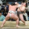 １９歳の新十両・藤天晴は５勝１０敗　「人生で一番長くて、苦しい１５日間。この負けがあったからと思えるように」