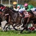 今週の武豊騎手は11鞍 アランカールで桜花賞の22年ぶり6勝目なるか