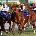 【桜花賞予想】狙うならば今年もこの5大要素で？ 過去データで探るGI桜花賞