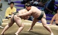 旭富士 デビューから驚異の23連勝