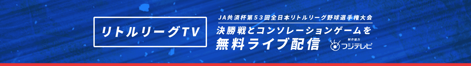 リトルリーグ ライブ配信