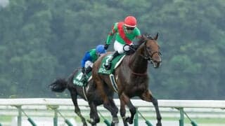 【盛岡・OROカップ見どころ】元JRA馬ヴィクティファルスが初の盛岡芝へ…モズマーヴェリックは重賞連勝狙う