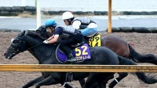 【天皇賞・秋】G1・4勝クロワデュノール、秋初戦へ外から豪快な伸び脚披露